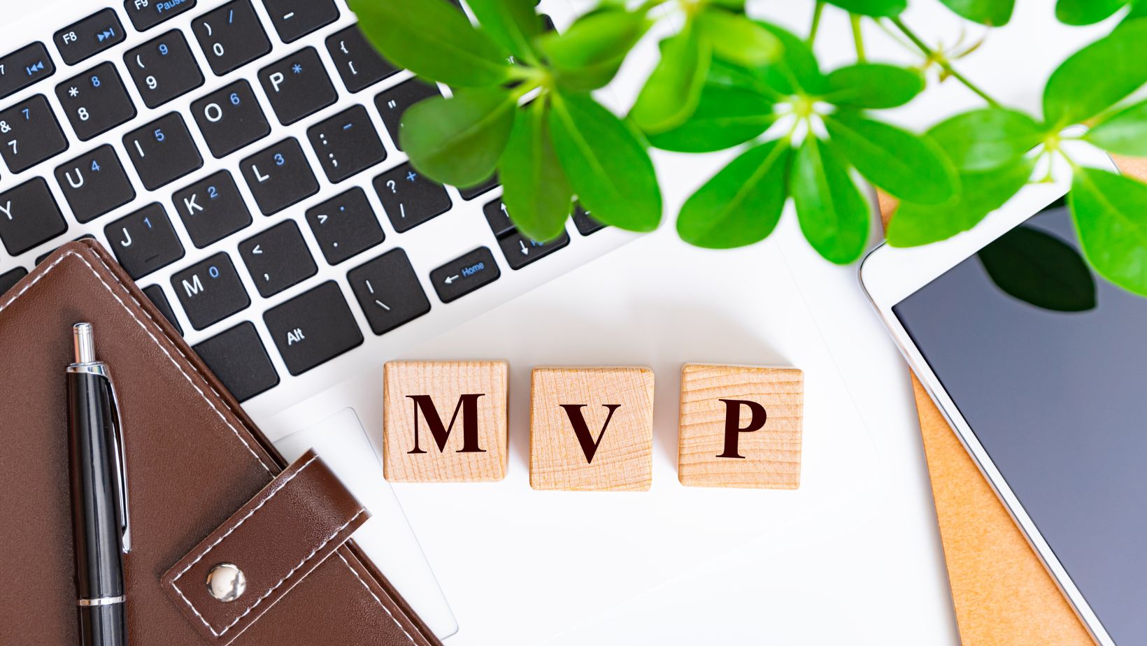 Common Mistakes To Avoid When Developing An MVP