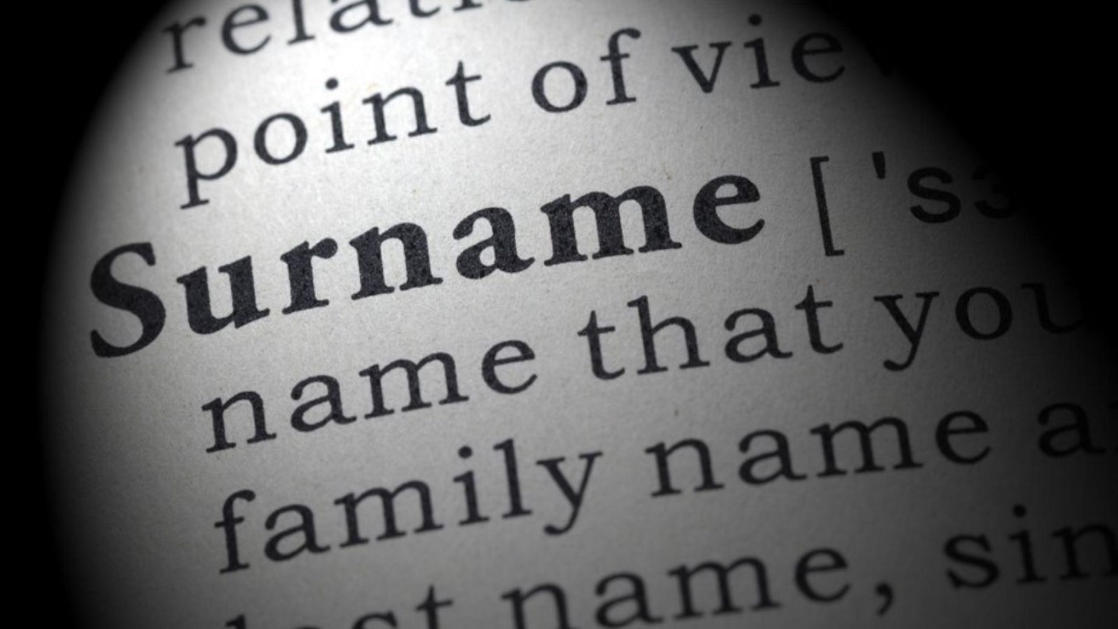 Dictionary highlights the word surname